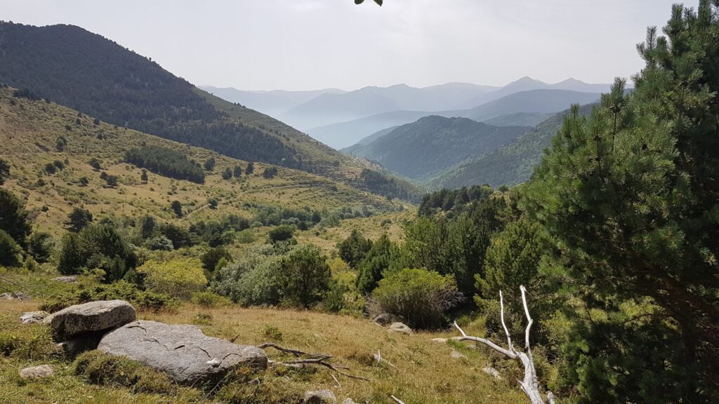 20210815 121520 scaled 1